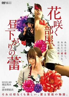 电影《回声以北》海报